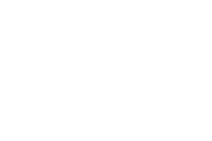 Webpigment + WordPress VIP